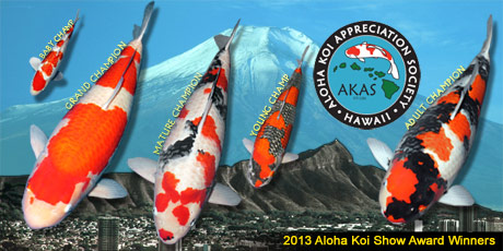 2013 Aloha Koi Show winners